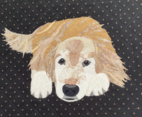 Fabric Collage from Your Photo w/Christine - January 7 & 21, 2026 10:00 am - 1:00 pm WILMINGTON