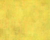 Dit Dot Evolution - Buttercup