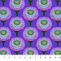 Iconic Periwinkle Strawflower - Anna Maria