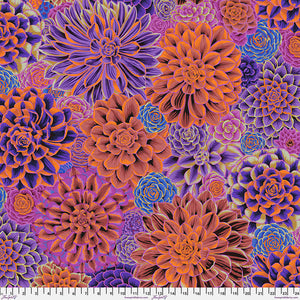 Kaffe Fassett House Leeks - Purple