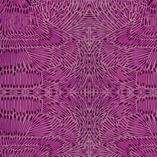 20000079