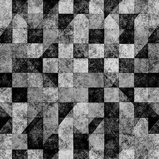 10002176