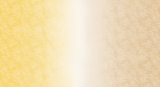 10002561