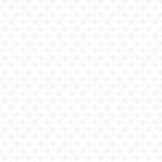 10002840