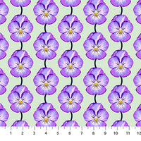 Iconic Lavender Pansy - Anna Maria