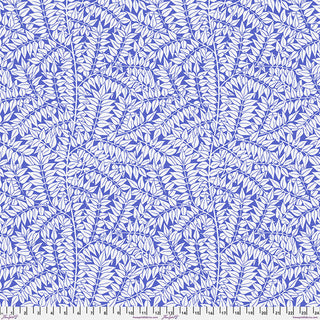 20000055