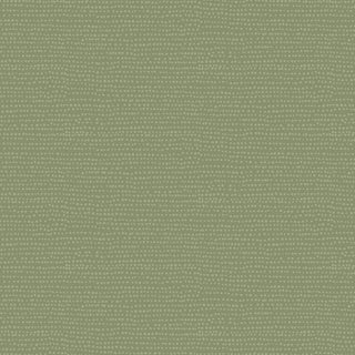 20000244