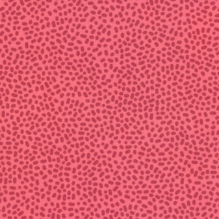 20000649