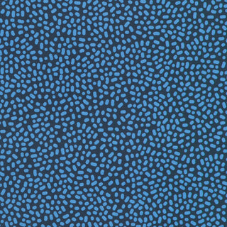 20000657