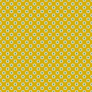 20000817