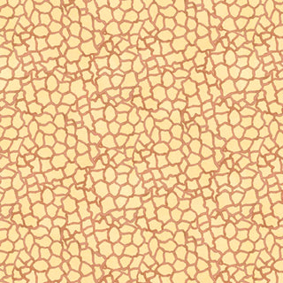20000858