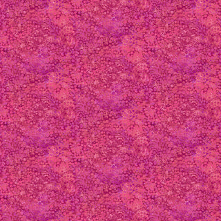 20001237