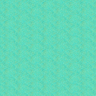 20001243