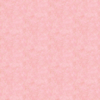 20001239