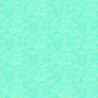 20001242
