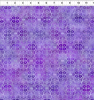 10002843