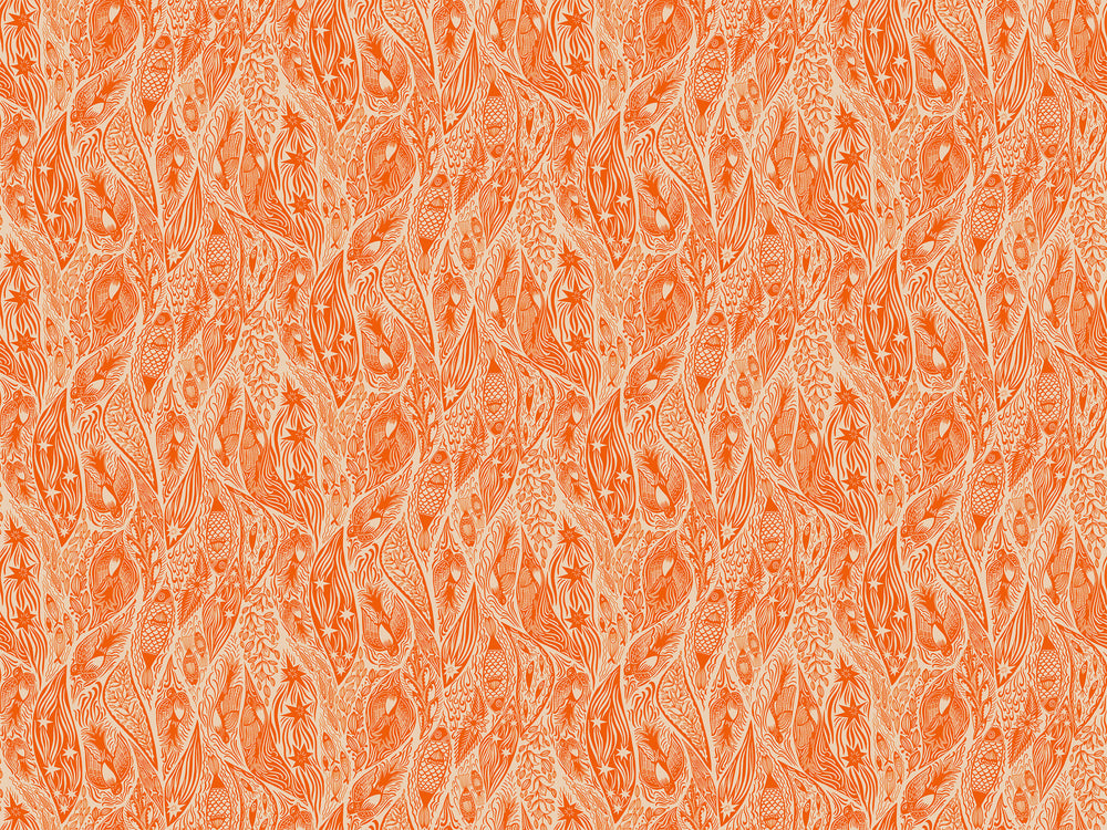 Shooting Star - Tangerine - Current - Anna Maria