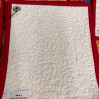 Free Motion Quilting Series w/Mary Ellen - Oct. 30, Nov. 6, Nov. 13, Nov. 20 and Dec. 4, 2025 10:00am-12:30 pm WILMINGTON