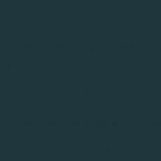 10001427