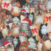 Meowy Christmas Cats In Hat Multi