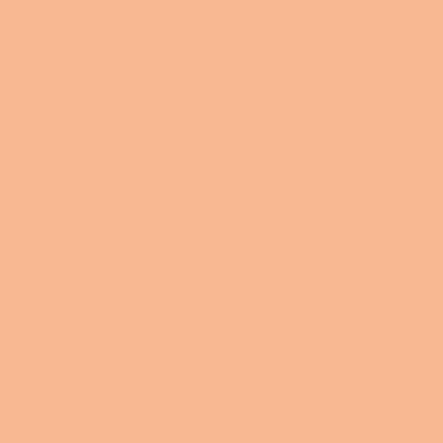 Shrimpy - Signature Pure Solids by Suzy Quilts