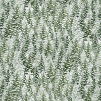 Winter Wonderland Snowy Pine Trees