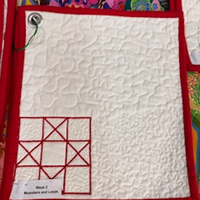Free Motion Quilting Series w/Mary Ellen - Oct. 30, Nov. 6, Nov. 13, Nov. 20 and Dec. 4, 2025 10:00am-12:30 pm WILMINGTON