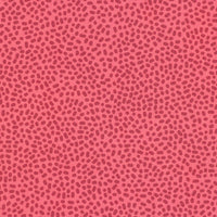 The Coastal Collection - RSDD-23948-301 Azalea - Robert Kaufman