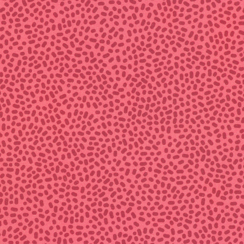 The Coastal Collection - RSDD-23948-301 Azalea - Robert Kaufman