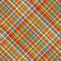 Cornucopia Harvest Diagonal Plaid Multi