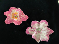 Thread Painting Workshop w/Elizabeth S. - August 6, 2026, 10:30 am - 3:30 pm RALEIGH
