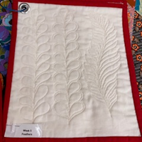 Free Motion Quilting Series w/Mary Ellen - Oct. 30, Nov. 6, Nov. 13, Nov. 20 and Dec. 4, 2025 10:00am-12:30 pm WILMINGTON