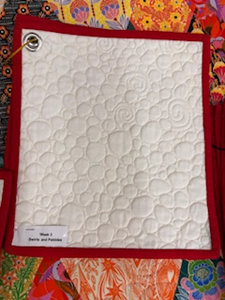 Free Motion Quilting Series w/Mary Ellen - Oct. 30, Nov. 6, Nov. 13, Nov. 20 and Dec. 4, 2025 10:00am-12:30 pm WILMINGTON