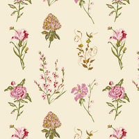 Anthology Garden Study Blush