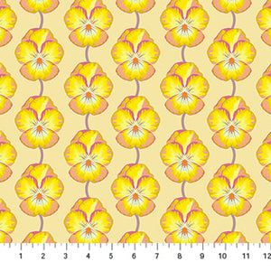 Iconic Muted Pansy - Anna Maria