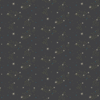 10001529