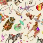 A Night at the Circus Animals
