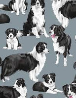 Border Collies