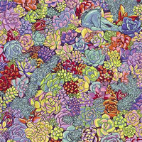 Calico Horses-Succulents