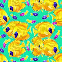 Coral Waters Golden Butterfly  Fish