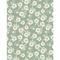 Daisy Days Daisies Green