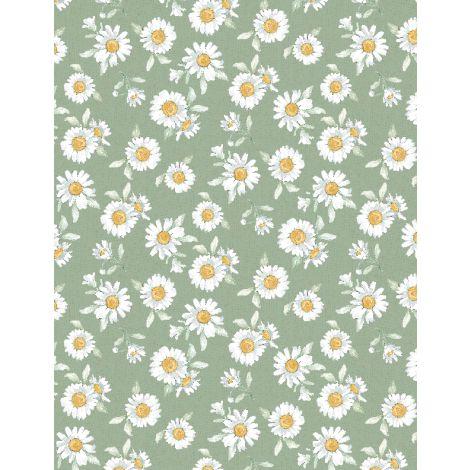 Daisy Days Daisies Green