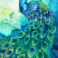 Allure Peacock Panel #210