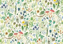 Garden Explorer Spring