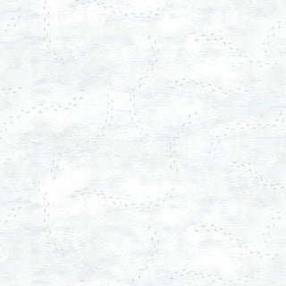 10001054