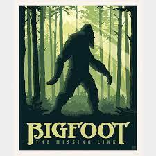 National Parks Legends Bigfoot Panel by Riley Blake