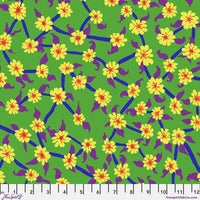 Mayflower - Green K Collective 0826
