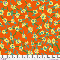 Mayflower - Orange K Collective 0826
