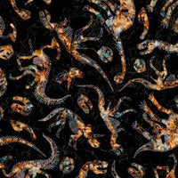 Prehistoric-Dino Skeletons -Black