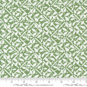 Shoreline Green